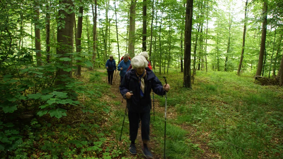 B216E4FB F1D7 4B6A A0D2 7F8E2FB7C764